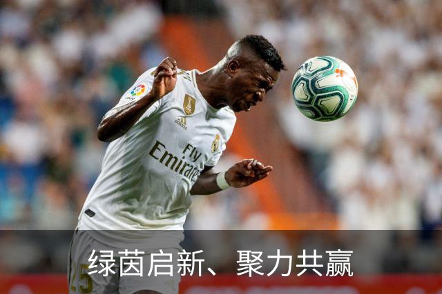 绿茵启新、聚力共赢